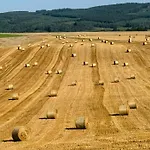 Le Brasovert Lägenhet