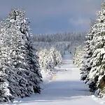 Le Brasovert Bras