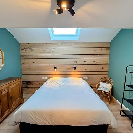 Le Brasovert דירה