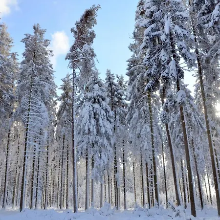 Le Brasovert דירה