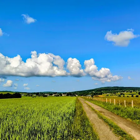 Le Brasovert דירה