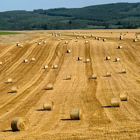 Le Brasovert דירה