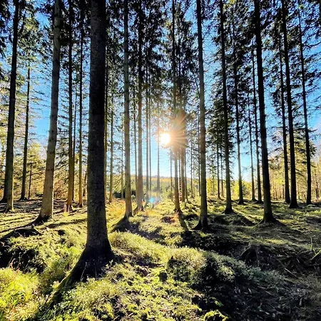 דירה Le Brasovert Bras