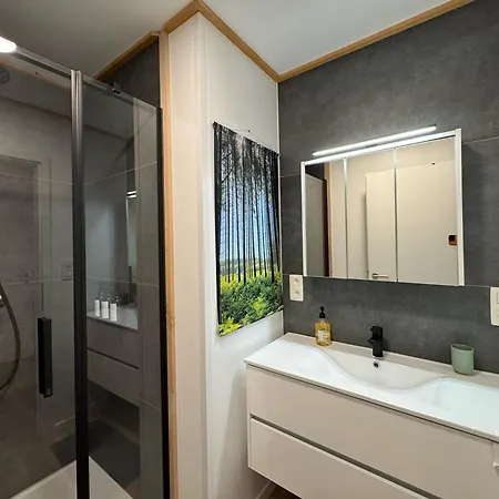 Apartment Le Brasovert *