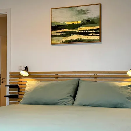 Le Brasovert Apartment
