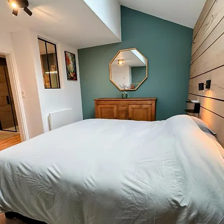 Le Brasovert Apartment