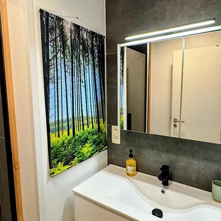 Le Brasovert Apartment