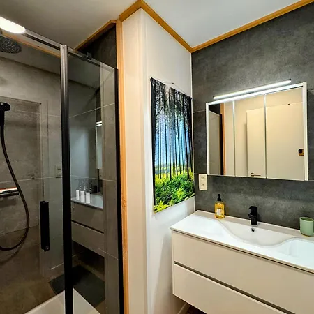 Apartment Le Brasovert Bras