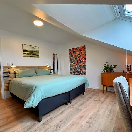Apartament Le Brasovert