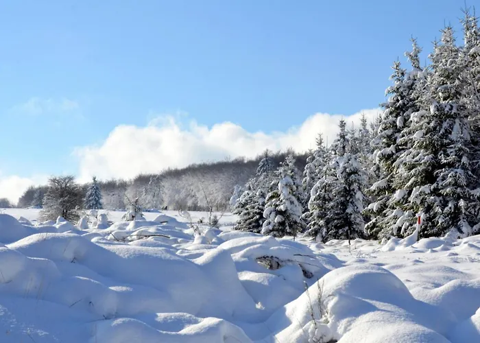 Le Brasovert Appartamento