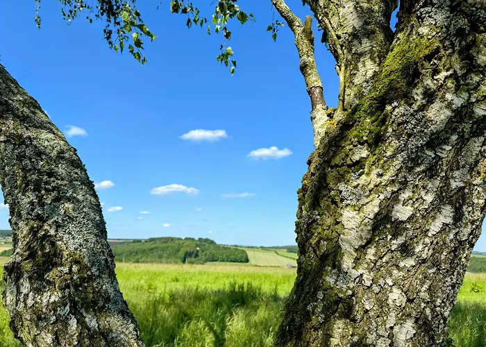 Apartment Le Brasovert *