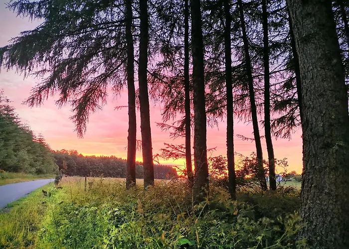 Le Brasovert Appartamento Bras