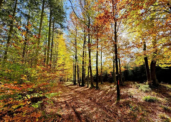 Appartamento Le Brasovert