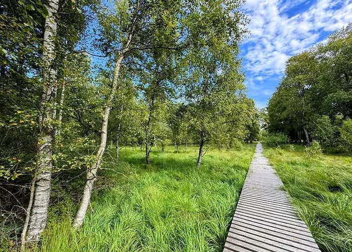 Appartamento Le Brasovert