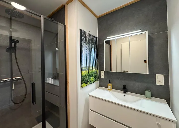Apartment Le Brasovert *