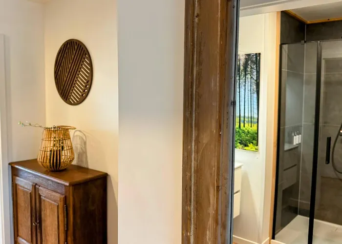Apartment Le Brasovert *