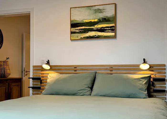 Le Brasovert Apartment