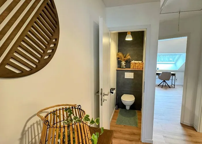 Le Brasovert Apartment