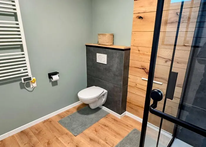 Le Brasovert Apartment *