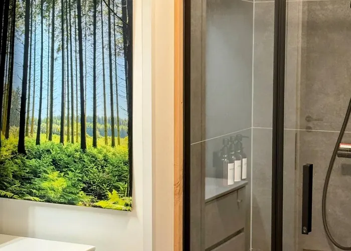 Apartment Le Brasovert Bras