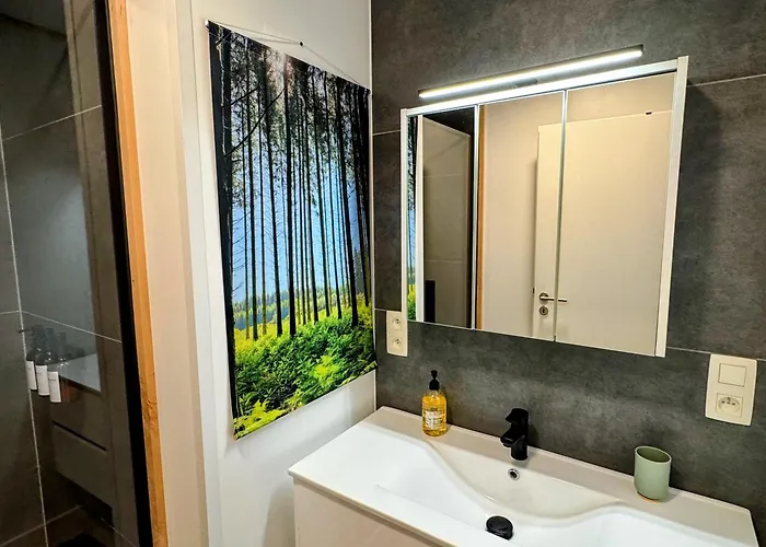 Le Brasovert Apartment