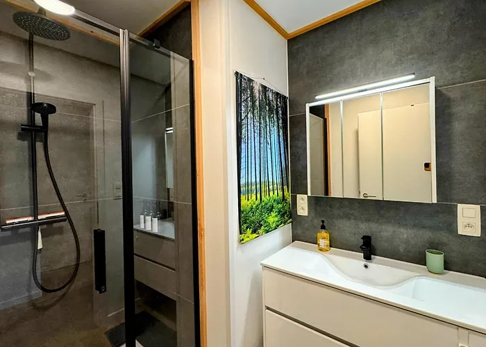 Apartment Le Brasovert Bras